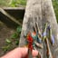 Small image 4