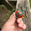 Small image 5
