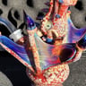 Small image 4