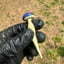 Small image 5