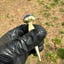 Small image 6