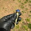 Small image 7