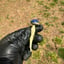 Small image 8