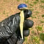 Small image 9