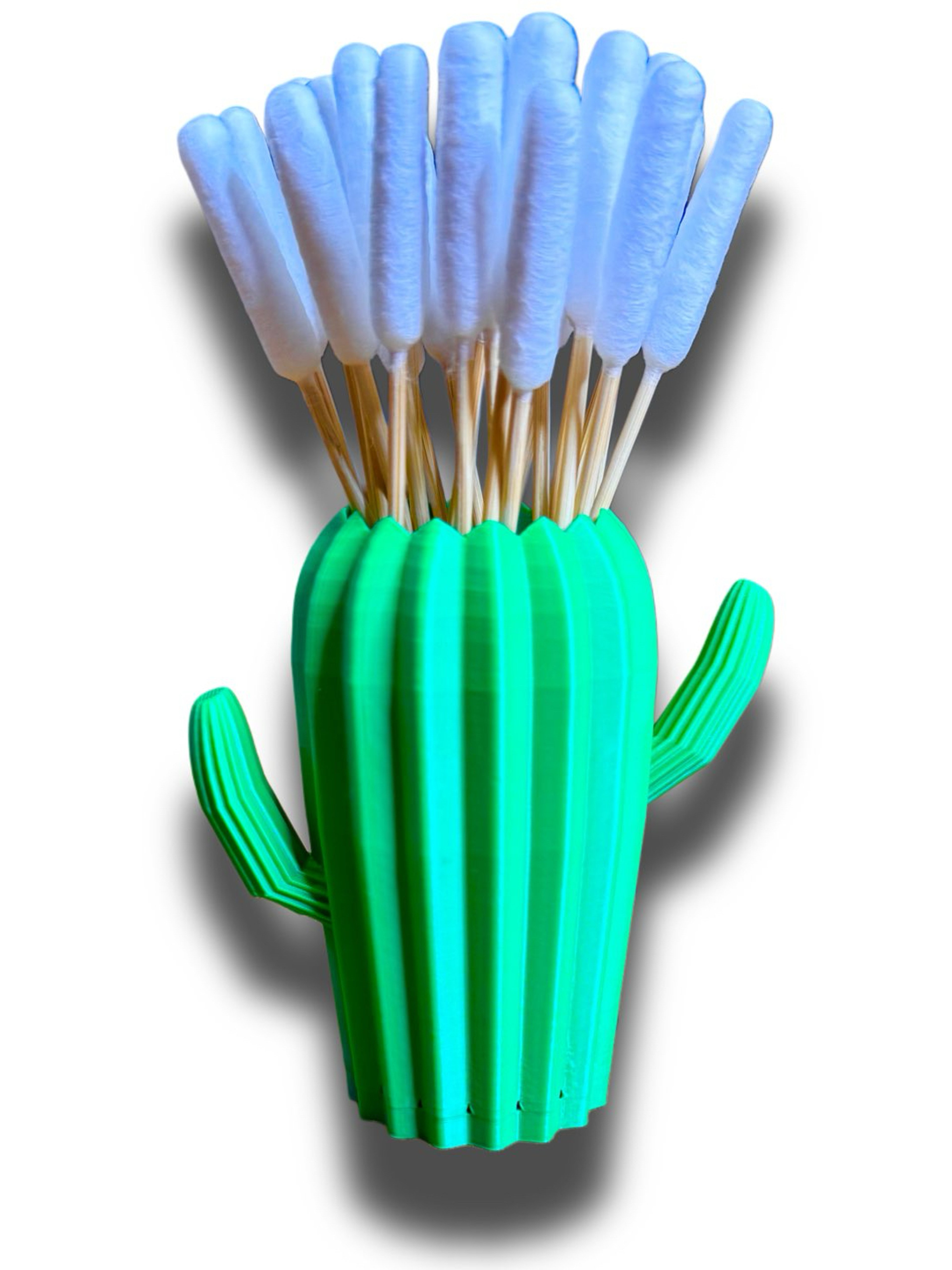 Preview pic of Q-tip caddy - Cacti