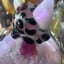 Small image 7