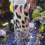 Small image 8