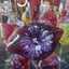 Small image 7