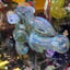 Small image 6