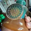 Small image 7