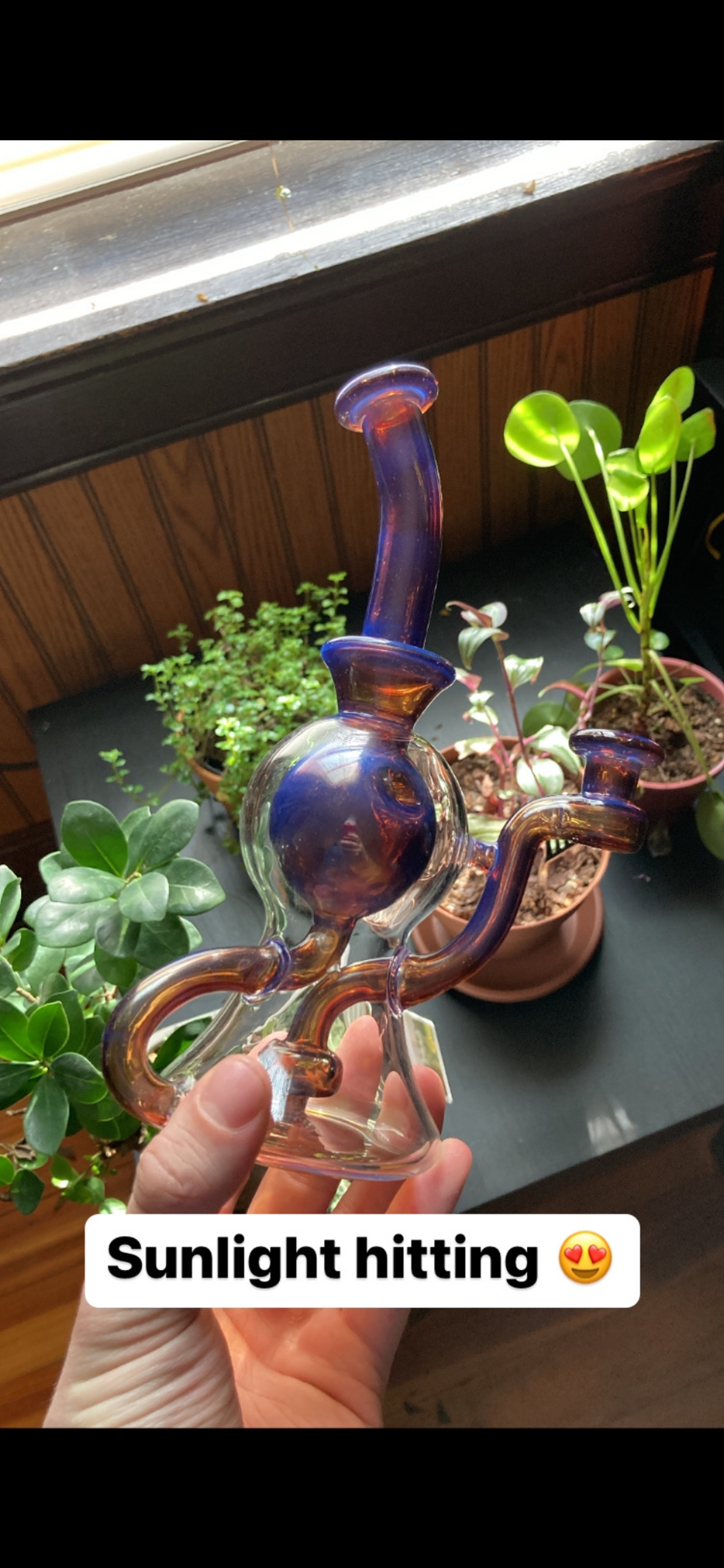 Preview pic of Trust glass orbus