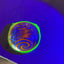 Small image 5