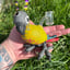 Small image 1