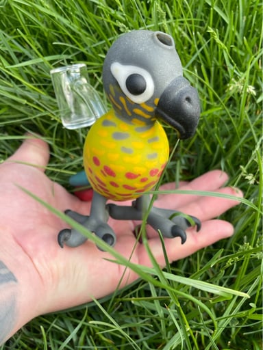 Preview pic of Xilla Glass custom Sandblasted Conure