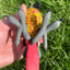 Small image 5