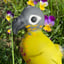 Small image 9