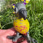 Small image 8