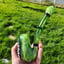 Small image 3