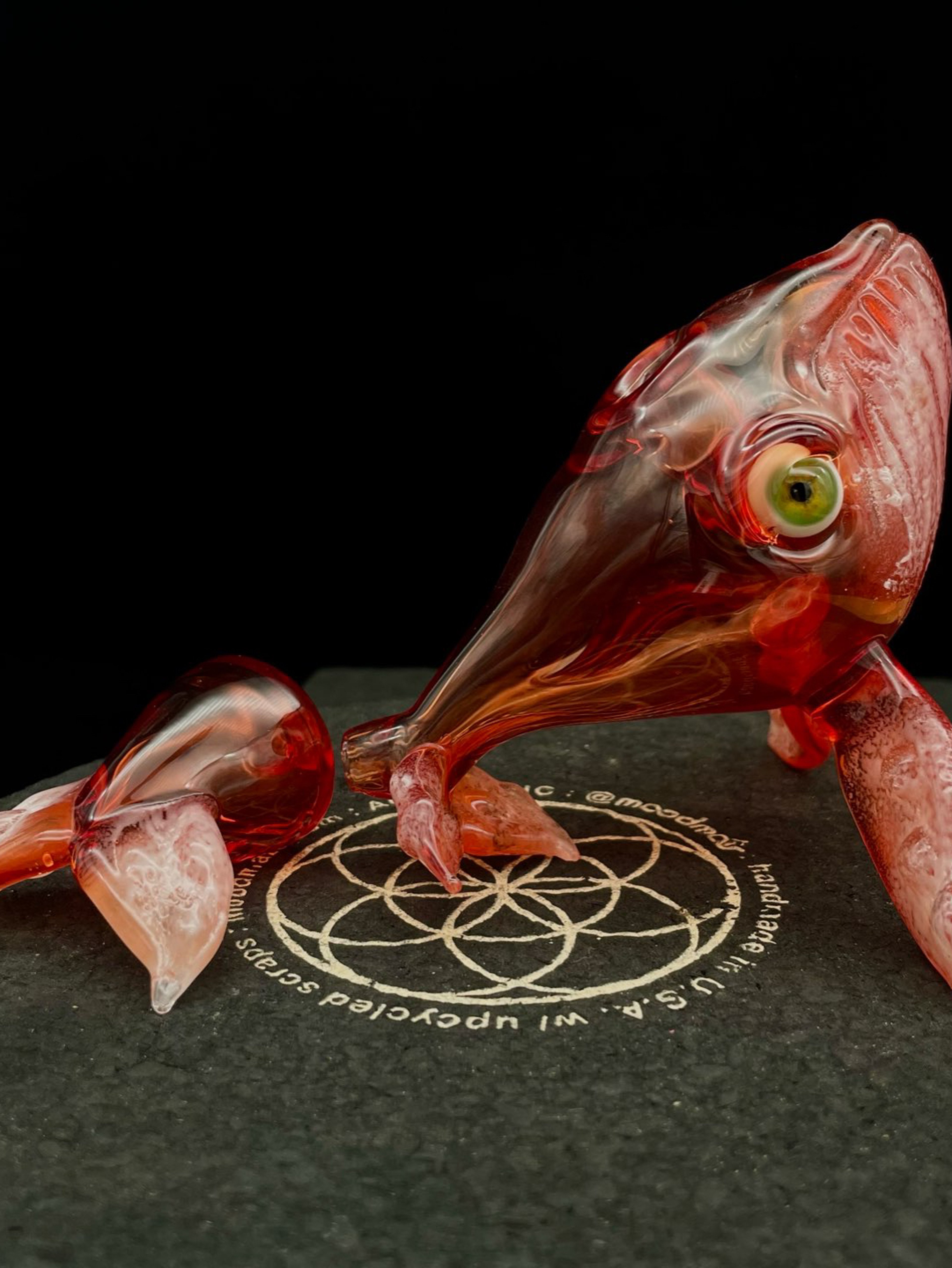 Preview pic of 10mm Humpback signed