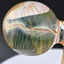 Small image 6