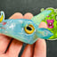 Small image 4