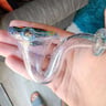 Small image 4