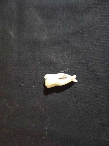 Preview pic of Iroczii Grunge Tooth Pendant