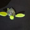 Small image 1