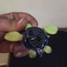 Small image 3