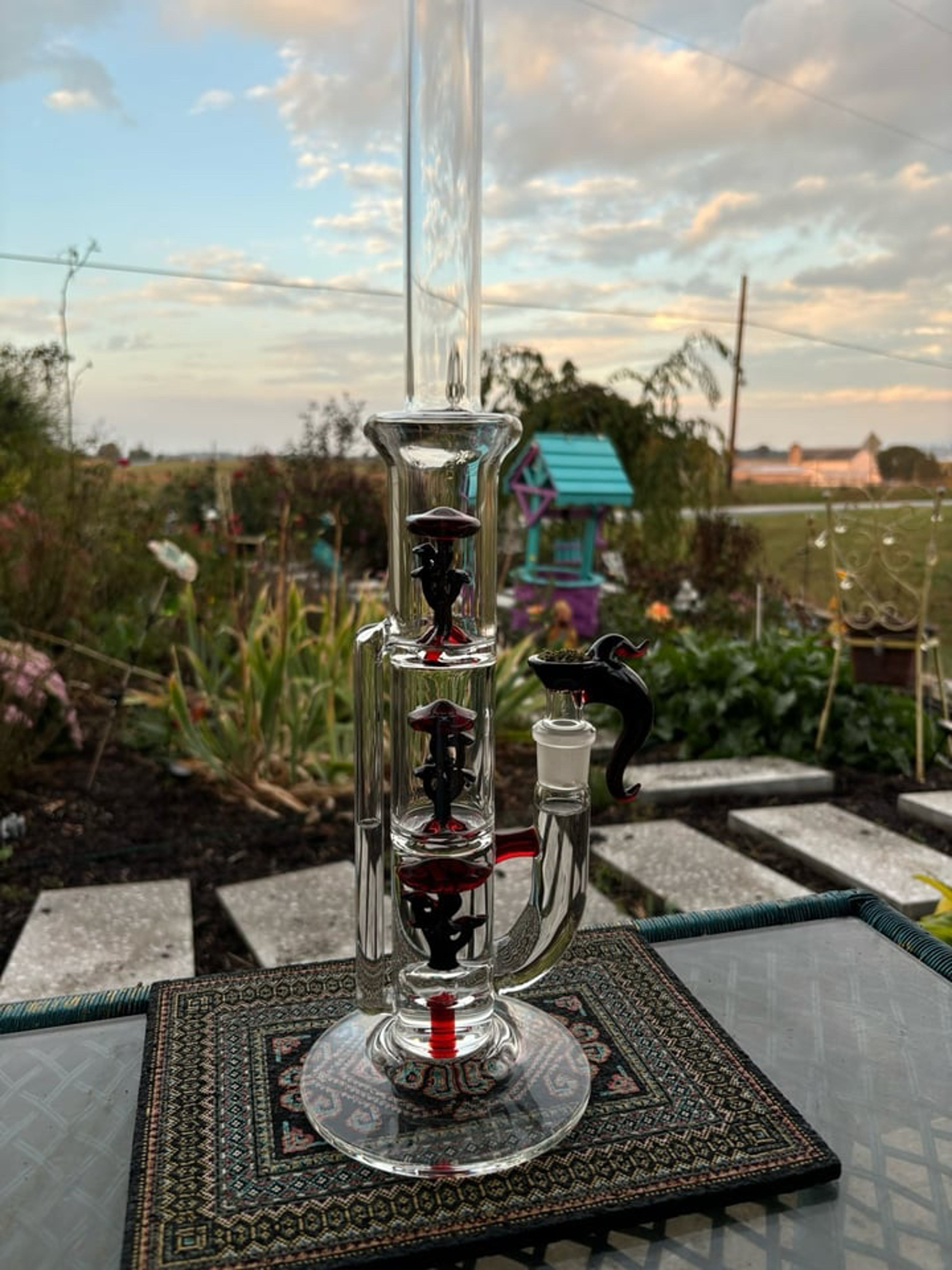 Preview pic of Ebitten mushroom tube