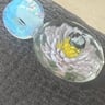 Small image 1
