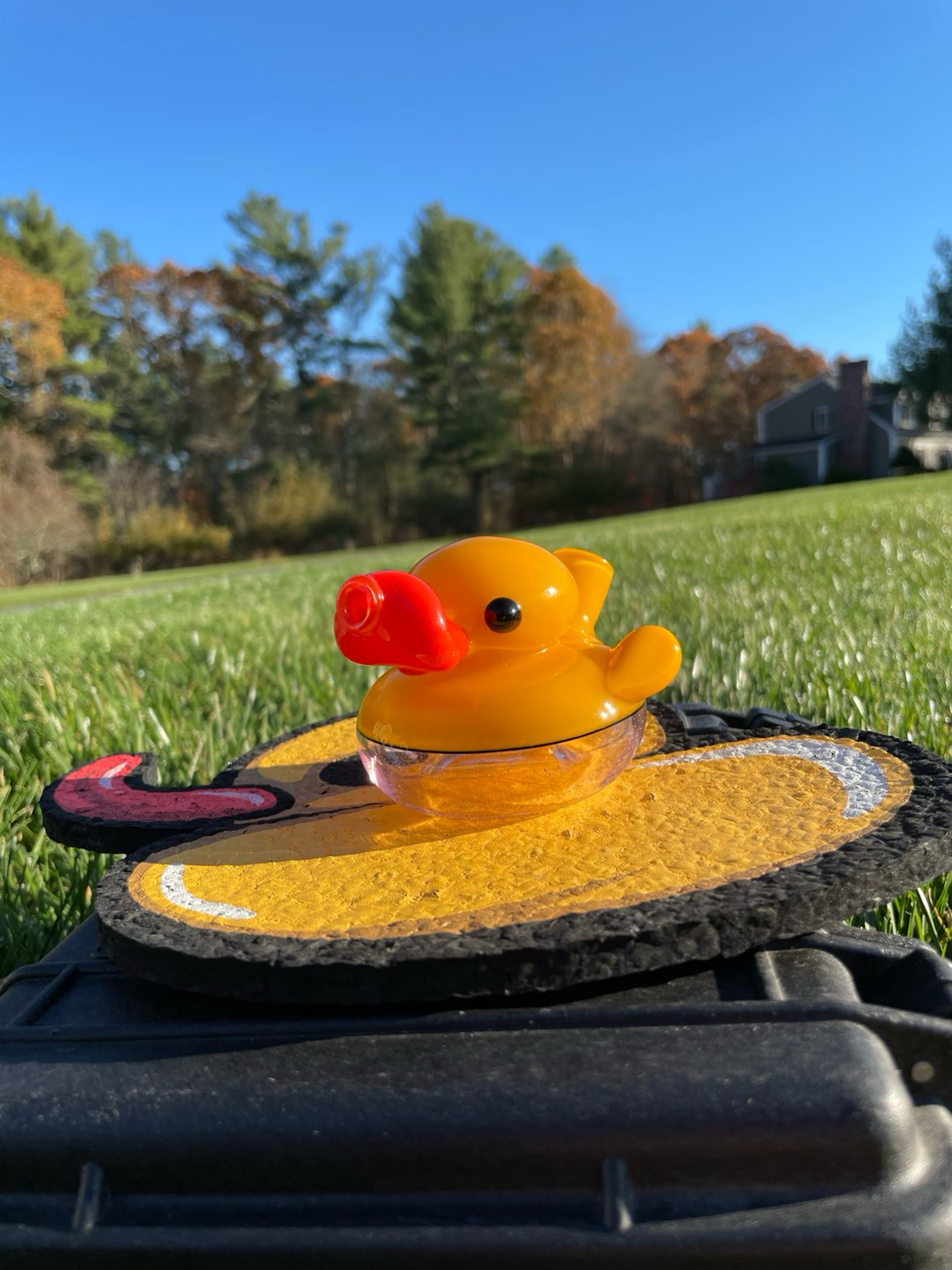 Preview pic of 2018 Ryno Palm Duck