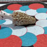 Small image 0