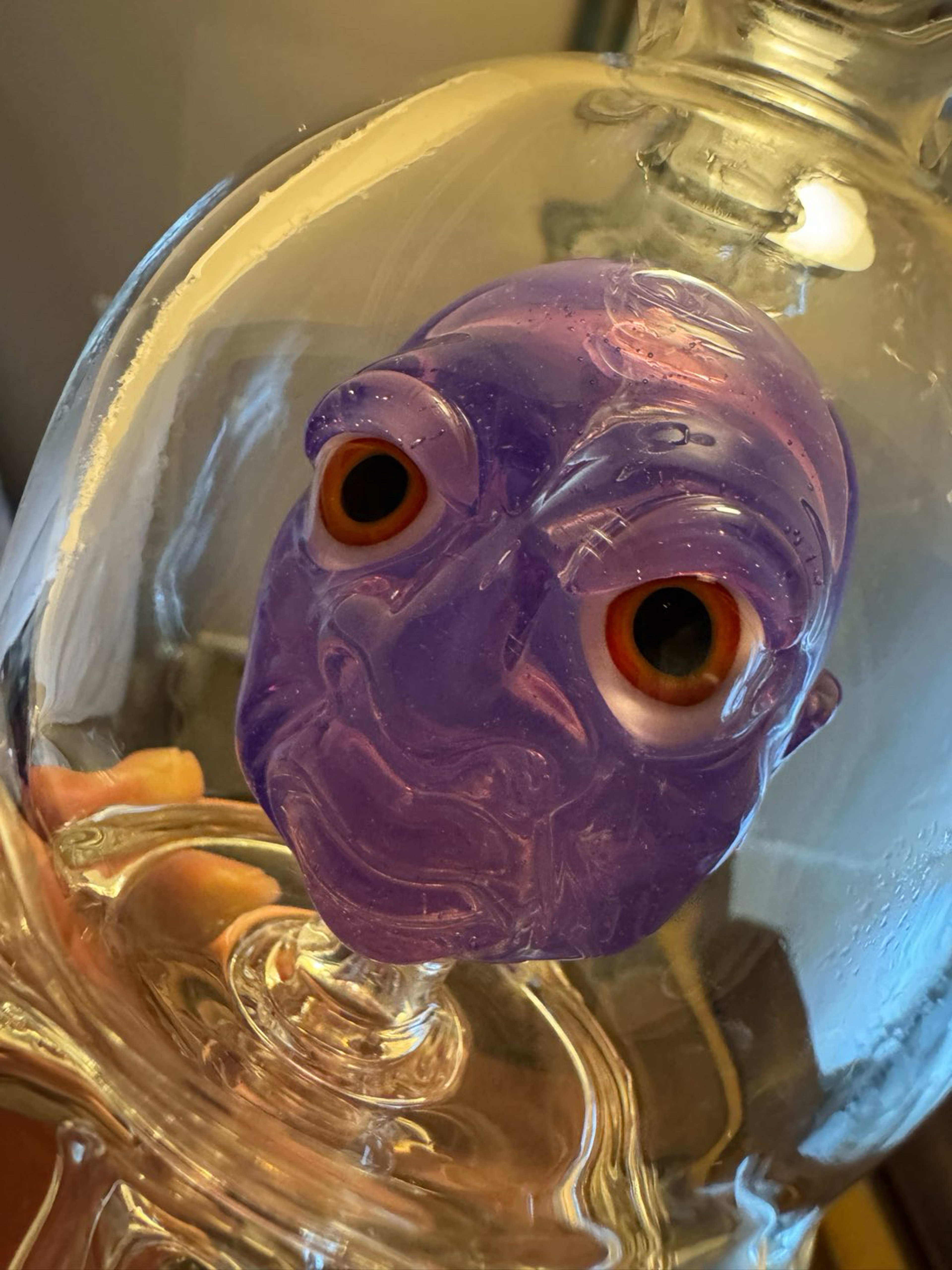 Preview pic of Vorhees Hib Blooper