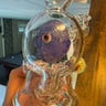 Small image 3
