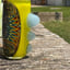 Small image 6