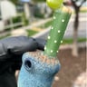 Small image 1