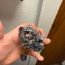 Small image 1