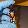 Small image 1