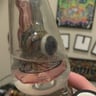 Small image 5