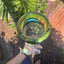 Small image 6