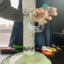 Small image 7