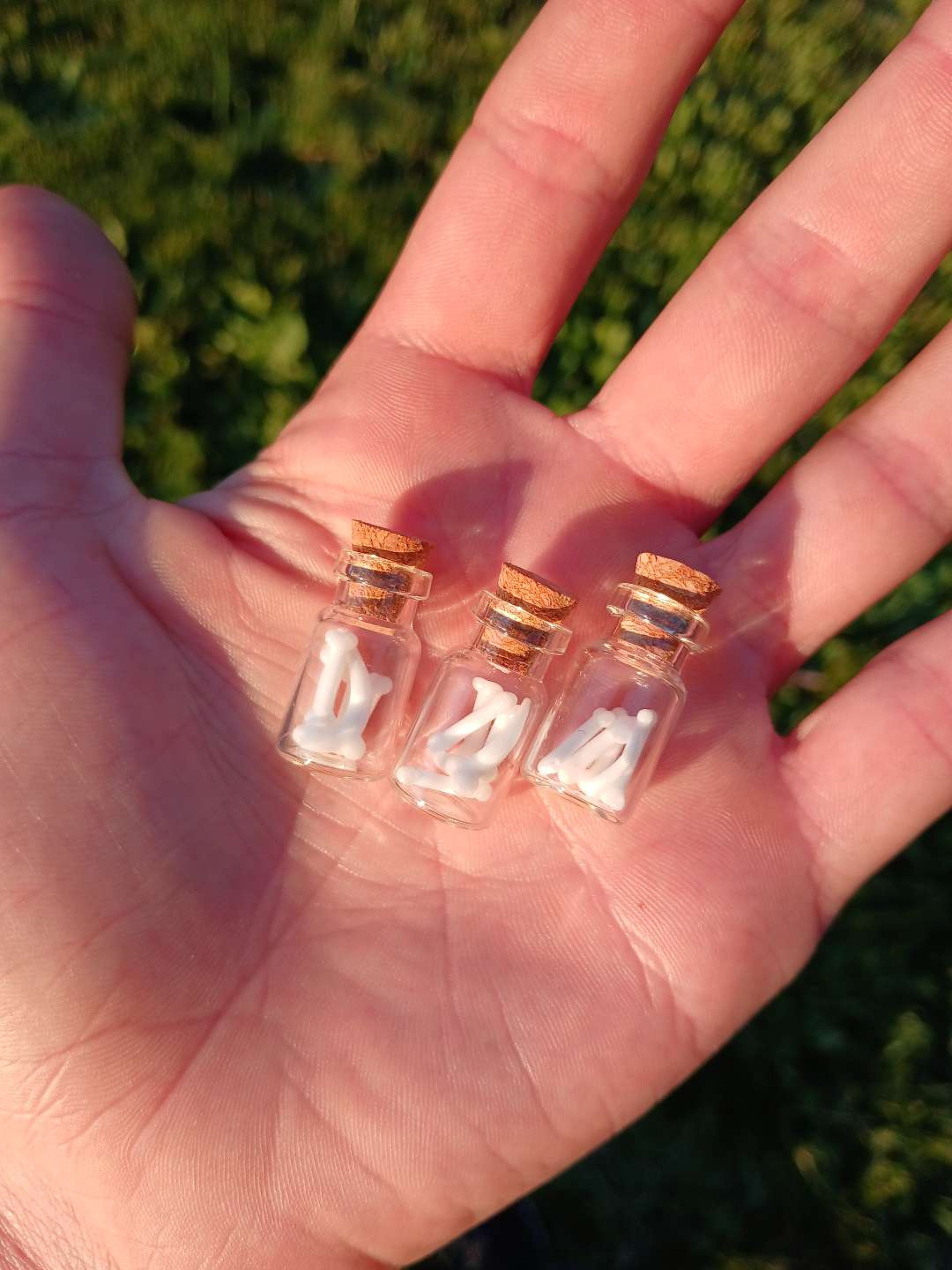 Preview pic of 3 jars of bones