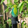 Small image 5