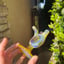 Small image 3