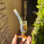 Small image 6