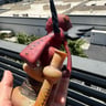 Small image 3