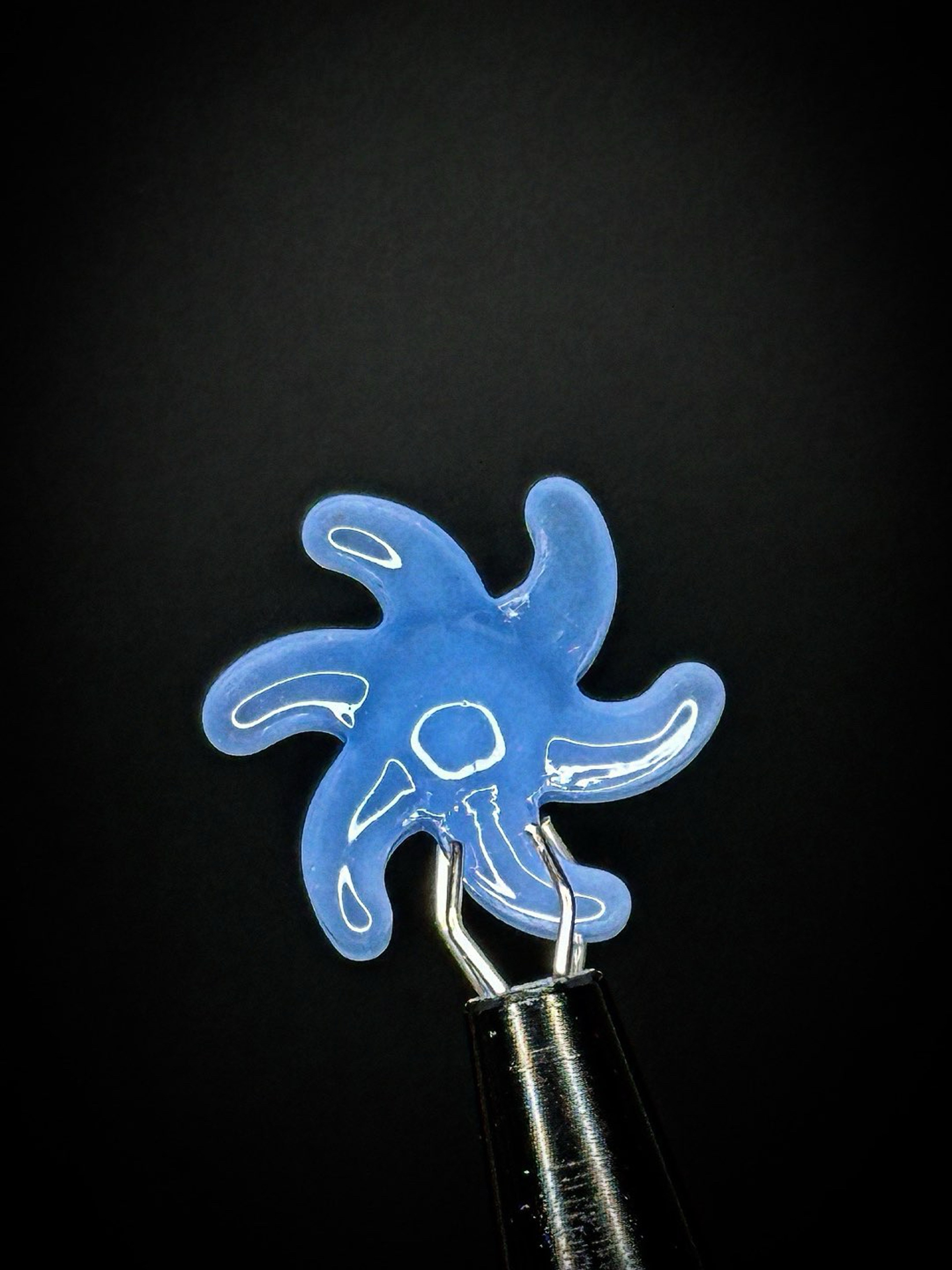 Preview pic of Boro Spinner Terp Pearl