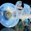 Small image 8