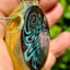 Small image 4